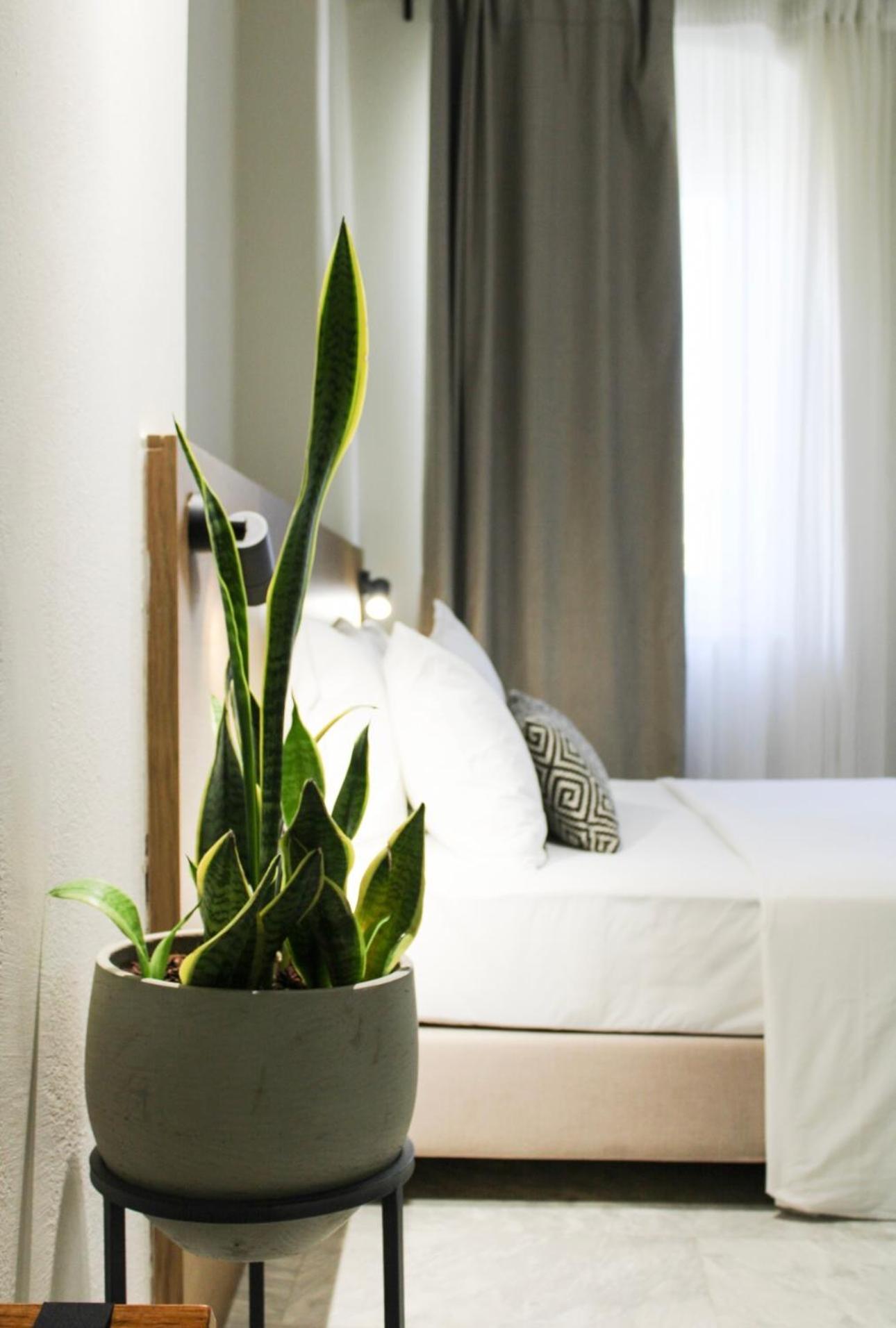 Oiko Mini Suites Ermupoli Exteriér fotografie